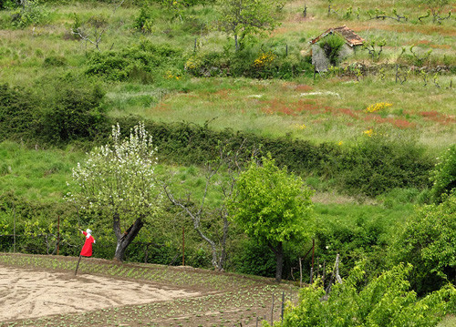 Blogue_paisagem18a_OH2013.jpg Blogue_paisagem18a_OH2013.jpg