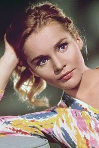 tuesday weld.jpg