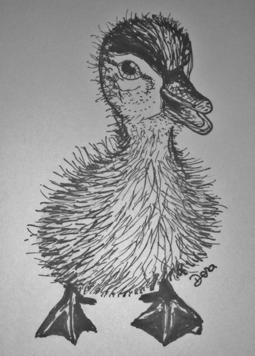 pato.jpg pato.jpg