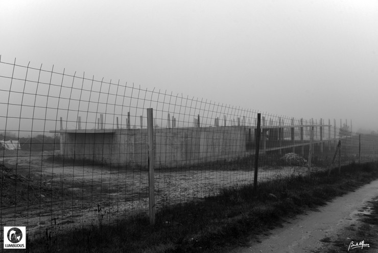 _D760452.JPG _D760452.JPG