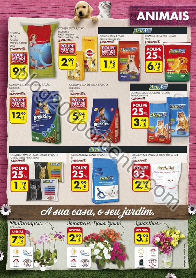 Antevisão folheto Pingo Doce 9a15ag