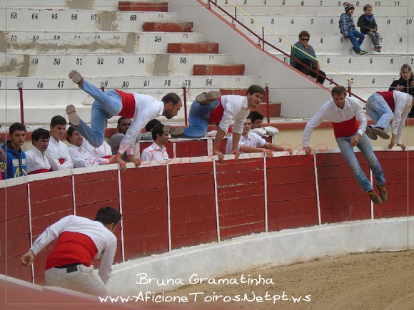  2-4-2016 treino dos forcados no Montijo